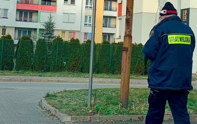 Zdjęcie do Ruszyły kontrole segregacji odpad&oacute;w
