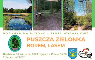 Zdjęcie do Puszcza Zielonka &ndash; borem, lasem