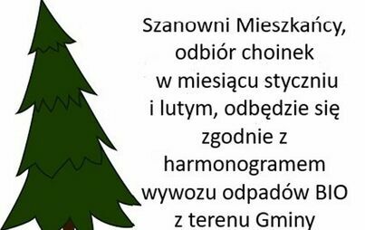 Zdjęcie do Informacja &ndash; odbi&oacute;r choinek!