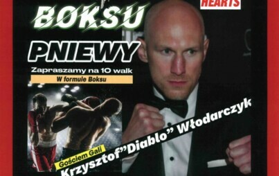 Zdjęcie do Charytatywna Gala Boksu Pniewy