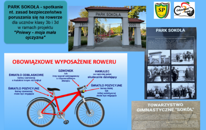Zdjęcie do  &bdquo;Pniewy &ndash; moja mała ojczyzna&quot; &ndash; Park Sokoła
