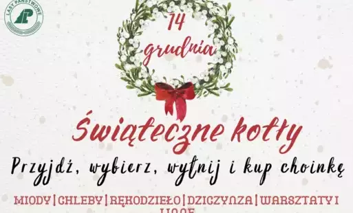 Zdjęcie do Świąteczne Kotły