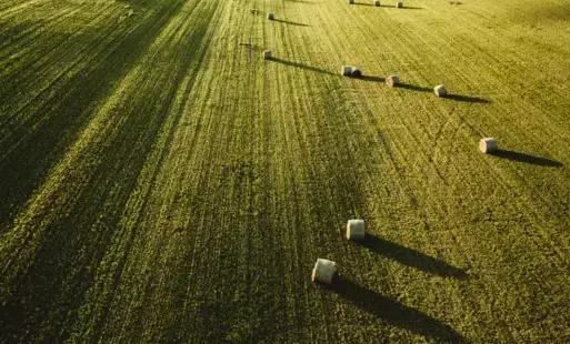 Zdjęcie do Informacja dla rolnik&oacute;w &mdash; bezpłatne, jednorazowe szkolenie z zakresu metod ograniczających stosowanie antybiotyk&oacute;w w produkcji zwierzęcej