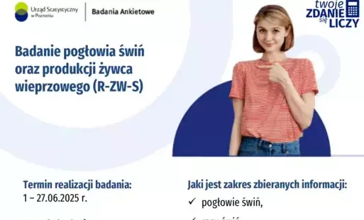 Badanie pogłowia świń oraz produkcji żywca wieprzowego (R-ZW-S)