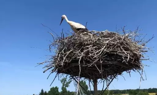 Zdjęcie artykułu z dnia 24-06-2025