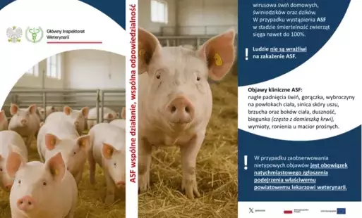 ASF – wspólne działanie, wspólna odpowiedzialność