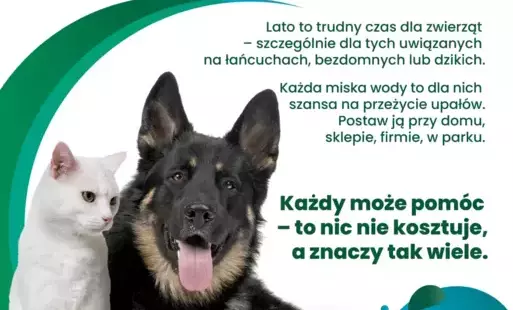 Mały gest, wielka moc – wystaw miskę!