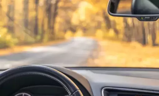 Wielkopolskie Badania Ruchu 2025