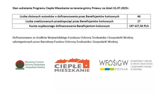 grafika statystyki