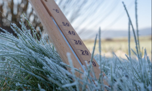 Zdjęcie artykułu z dnia 23-12-2025