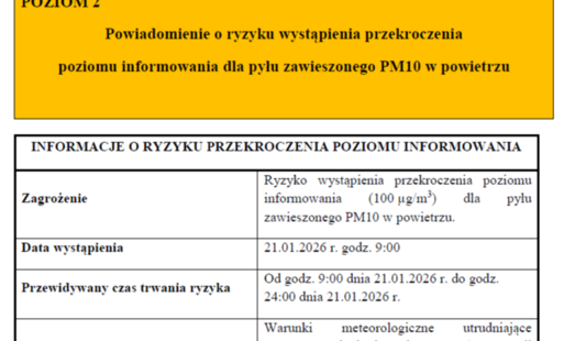 zajawka