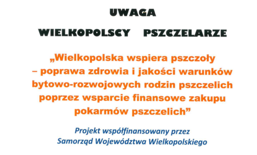 Wielkopolska wspiera pszczoły
