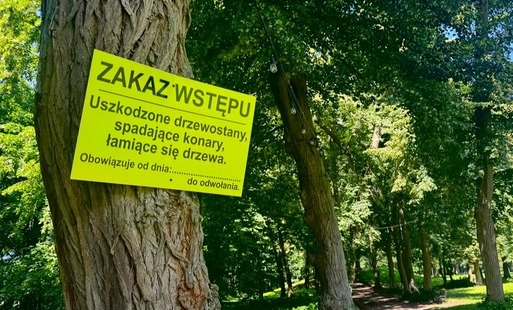 Park Miejski