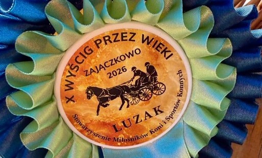 X Jubileuszowy Festyn „Wyścig przez Wieki” już za nami!