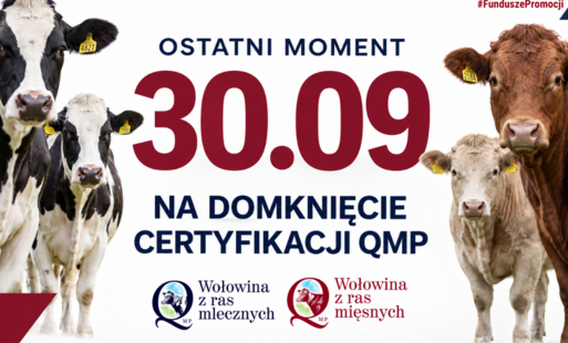 Certyfikat QMP — termin uzyskania upływa 30 września 2026 r.