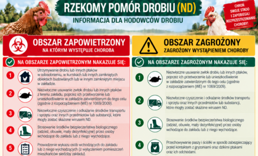 Rzekomy pomór drobiu – informacja dla hodowców drobiu