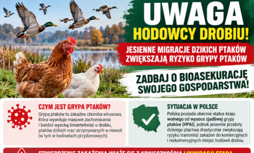 Bioasekuracja drobiu jesienią