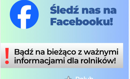 Grafika
