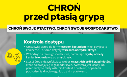 Chroń przed ptasią grypą – kampania informacyjna